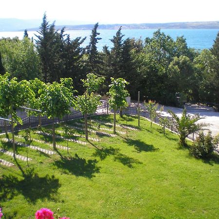 Pansion Adria Haus Hotel Поседарье Екстериор снимка